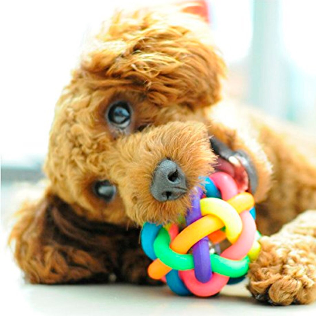 Pet Toys Market Potential Growth, Share, Demand and Analysis of Key Players – Forecasts to 2031