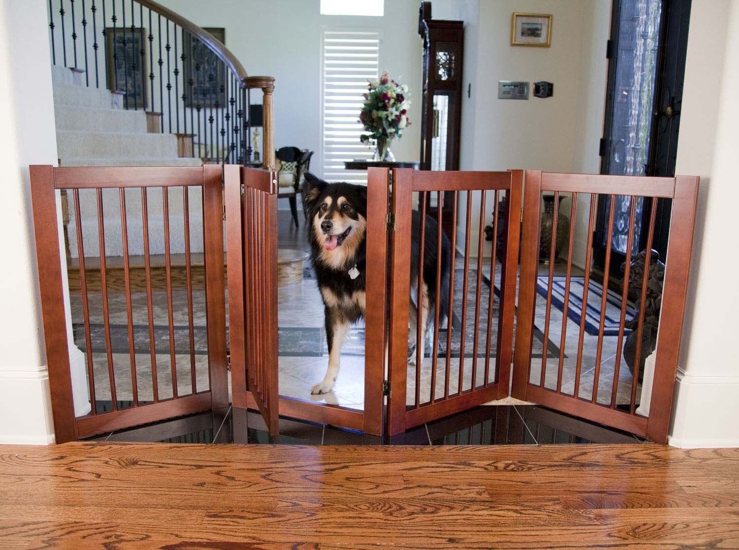Dog Gates, Doors & Pens Market to grow at a rate of 6.6 by 2031