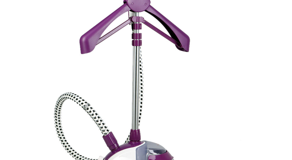 USA Dominates North America's Garment Steamer Market with Major Share