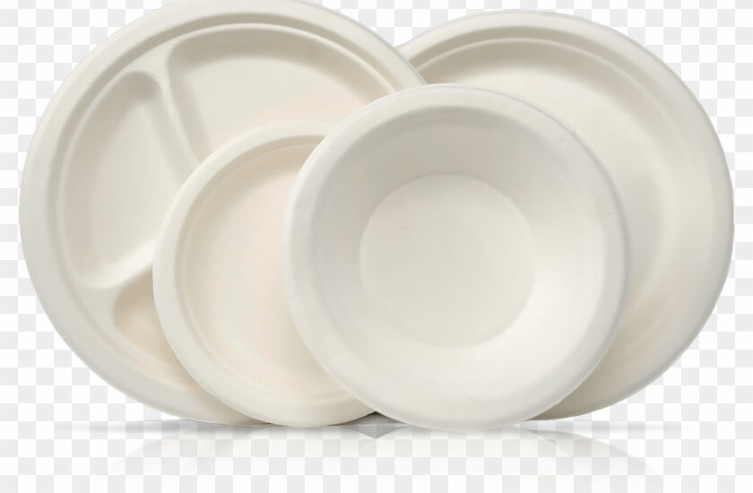 Disposable Plates Market Expected to drive a Healthy 5.9 CAGR During