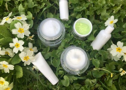 Natural Cosmetics Market