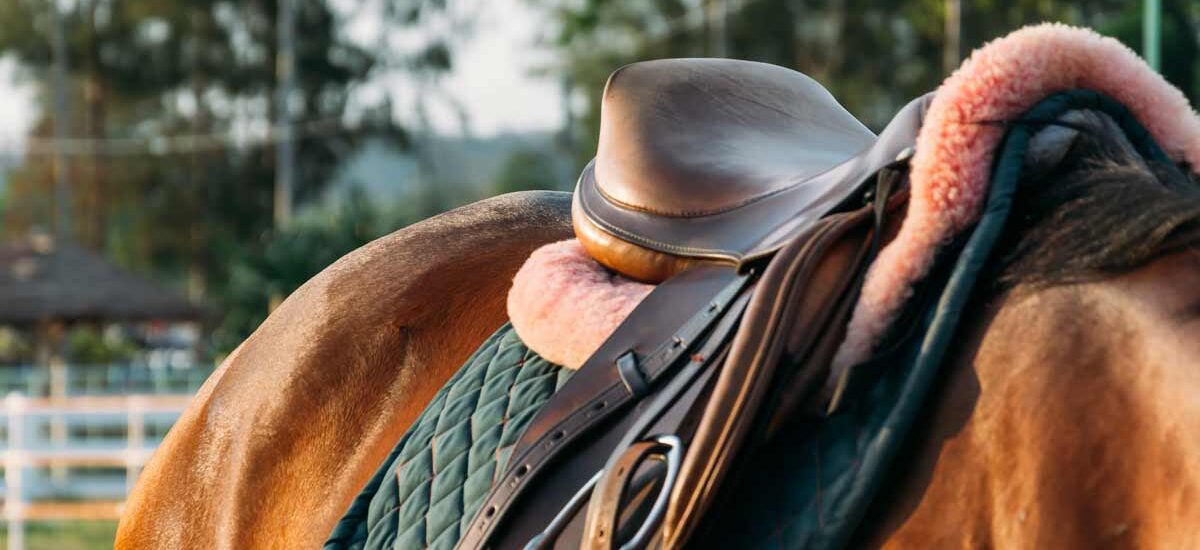 Horse Riding Equipment Market to Register a CAGR of 4 During the