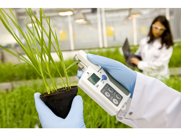 Agriculture Checking out Products and services Marketplace via World Call for, Tendencies, Packages, Gross sales, Business Measurement and Forecast to 2028