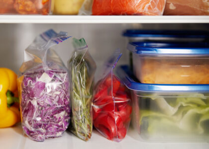 Freezer Bags Market
