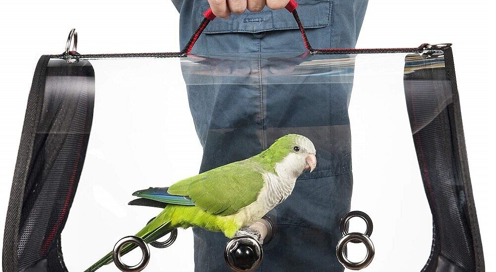 Bird Carriers Market registering a nominal CAGR of 8 during the