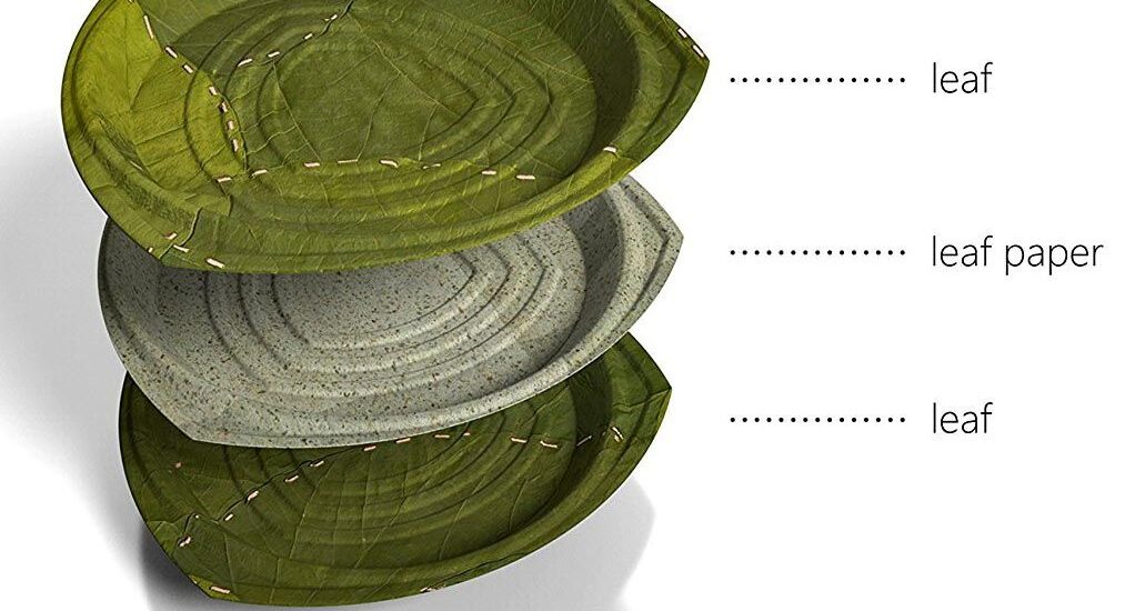 Ecofriendly Paper Plates Market size