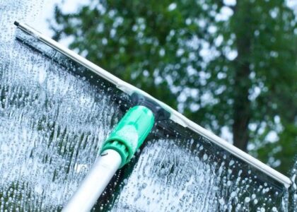 Wetting Agent Market
