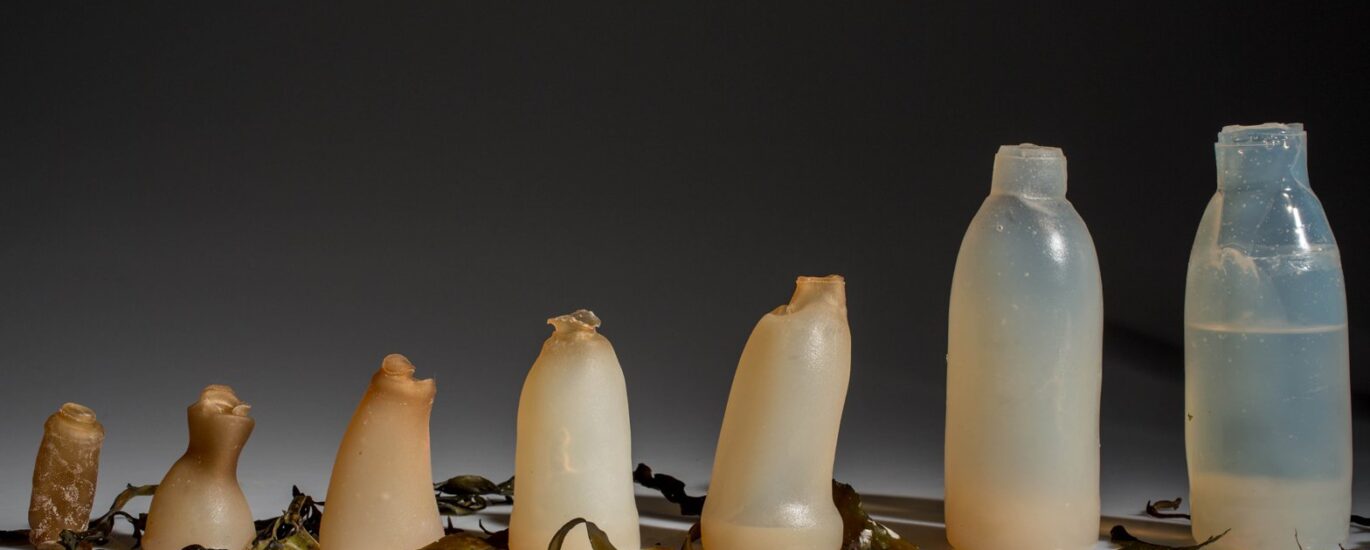 Biodegradable water bottles Market