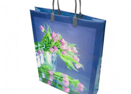 Laminated Woven PP Bags Market