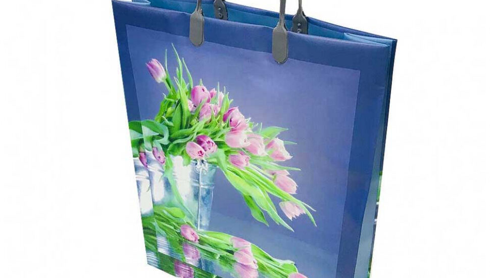 Laminated Woven PP Bags Market