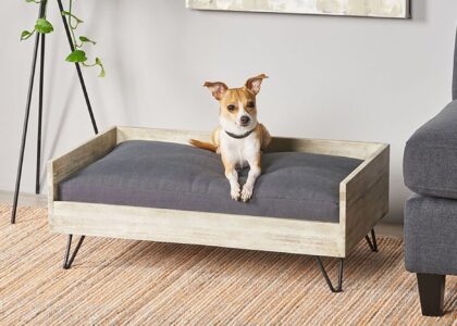 Pet Furniture Market