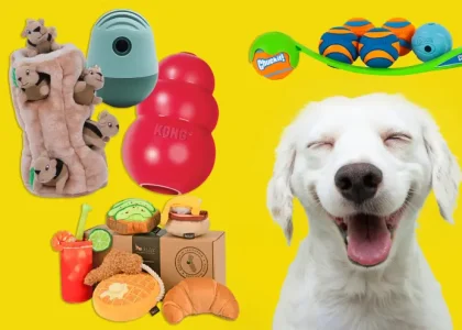 Pet Toy Market