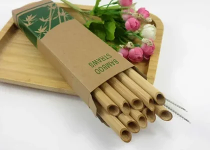 Eco-Friendly Straws Market