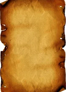 Parchment Paper Market