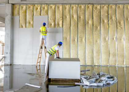 Building Thermal Insulation Market