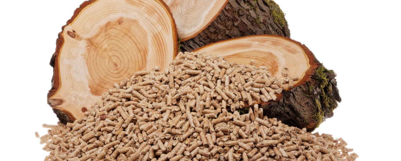 Asia Pacific Bio Composites Market