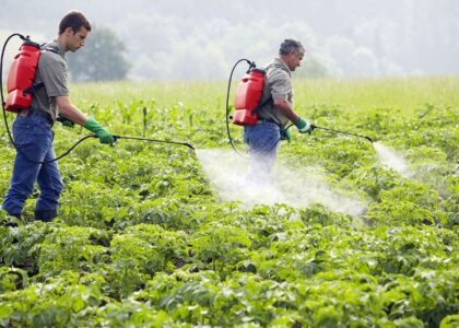 Carbamate Insecticides Market