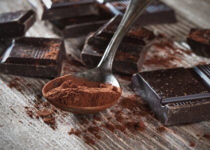 Cocoa Based Polyphenols Market