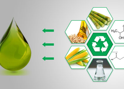 Green Solvents Market
