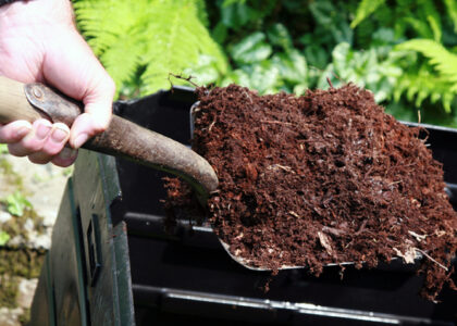 North America Organic Fertilizers Market