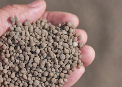 Phosphate Fertilizer Market