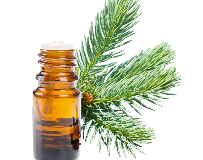 Turpentine Market Value to Grow by Almost US 1.51 Billion from 2022 to