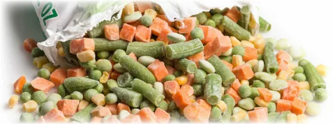 Flexible Frozen Food Packaging Market