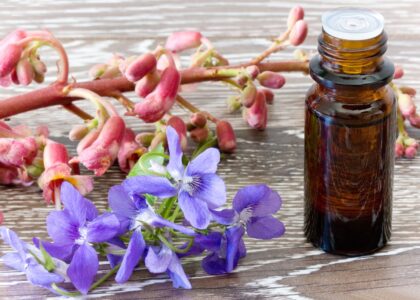 Floral Extract Market