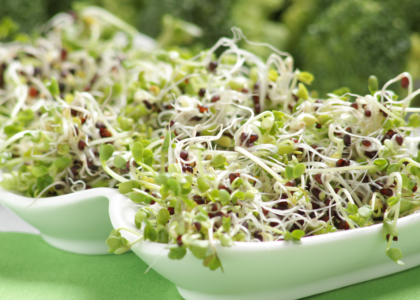 Dispensing Spouts Market