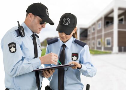 Private Security Market