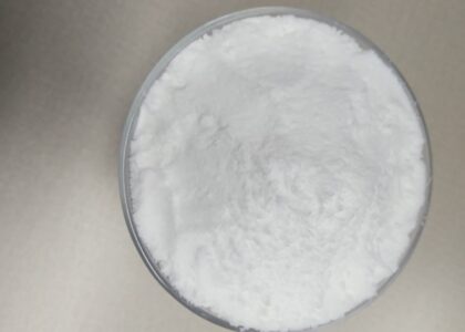 Sodium Formate Market