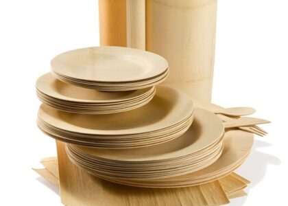 Eco-friendly Paper Plates Market