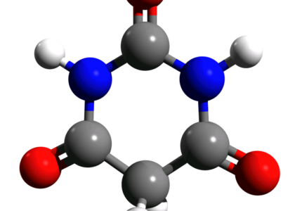 Barbituric Acid Market
