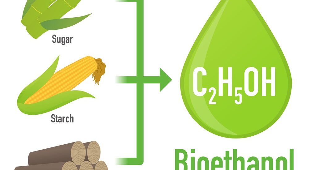 Bioethanol Market