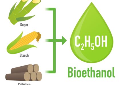 Bioethanol Market