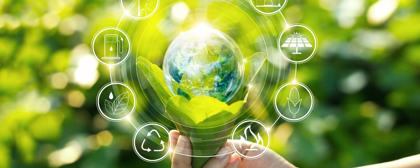 Environmental Catalysts Market