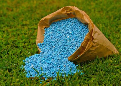 Nitrogenous Fertilizer Market