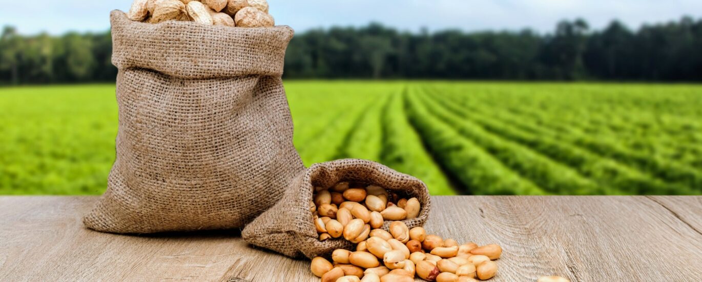 Farming Sacks & Totes Market