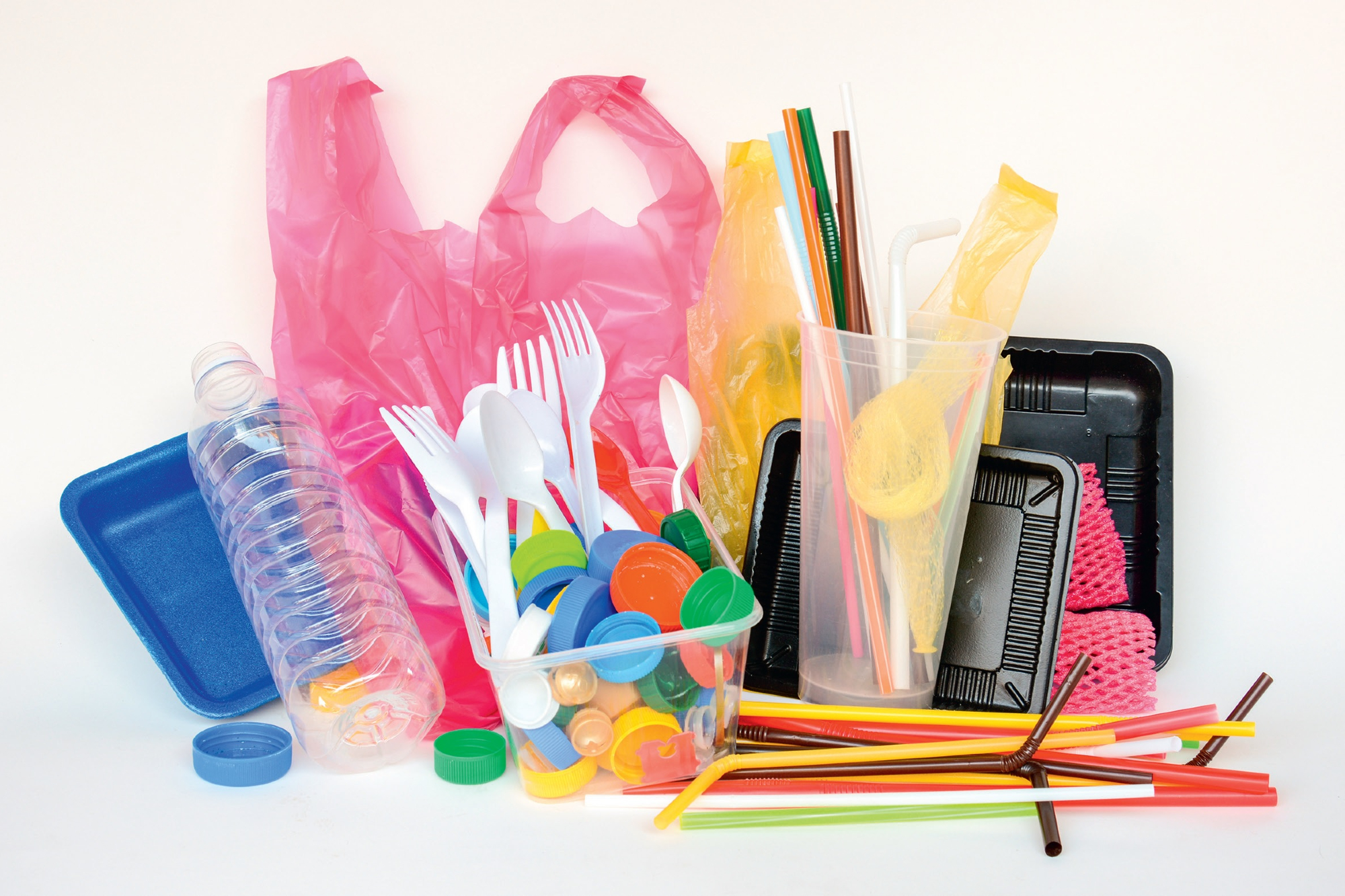 SingleUse Plastic Packaging Market