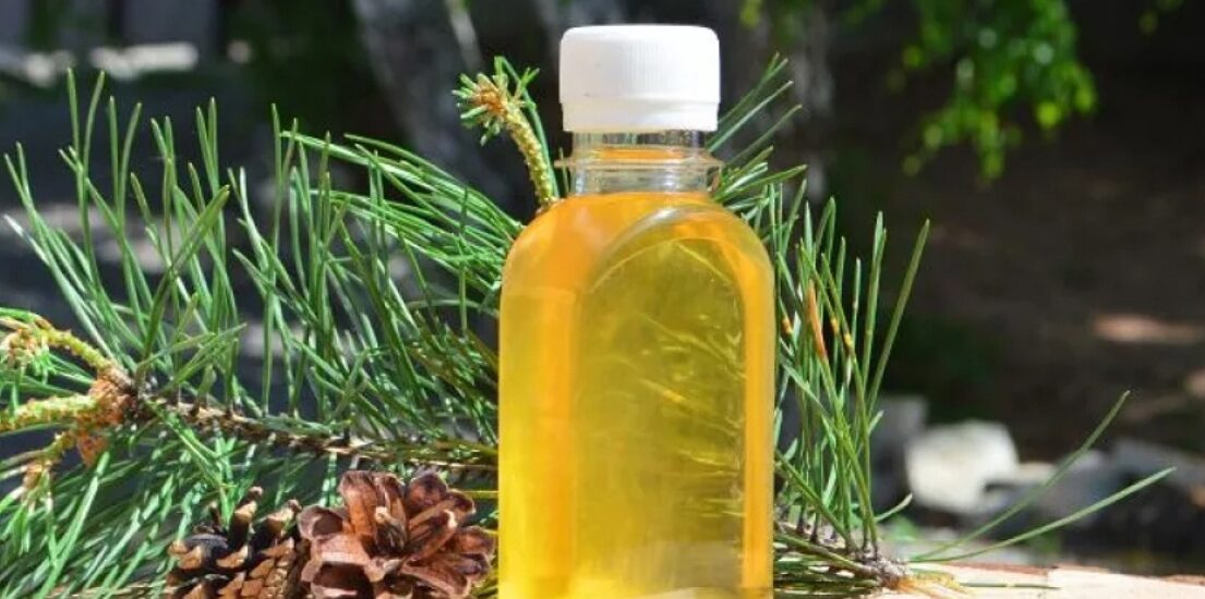 Regional Analysis of the Turpentine Market Opportunities and