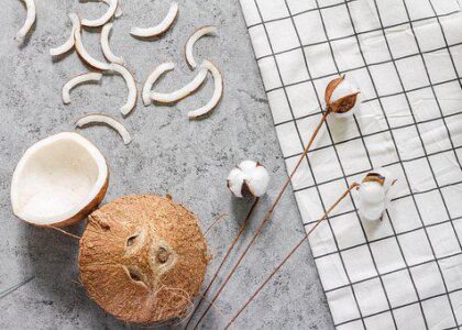 Desiccated Coconut Market
