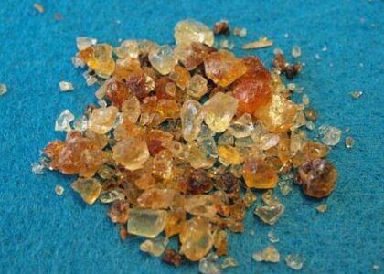 Calf Milk Replacers Market