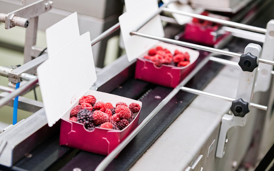 Food Packaging Equipment Market