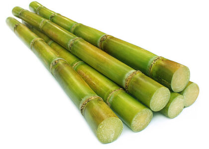 Sugarcane Based PET Bottles Market