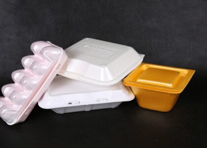 Foam Food Container Market