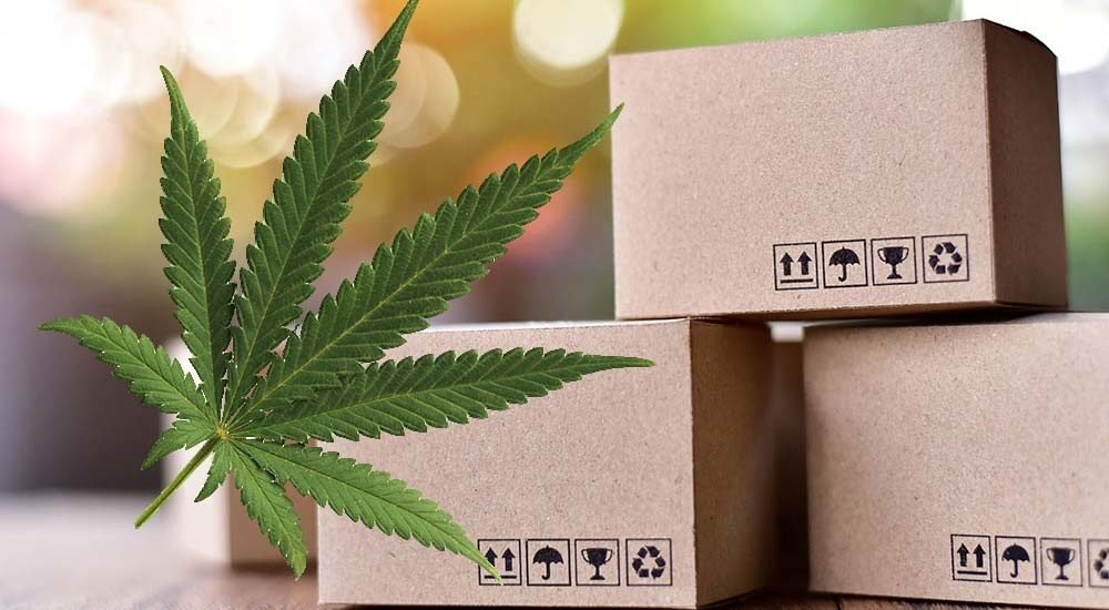 CBD Product Packaging Market