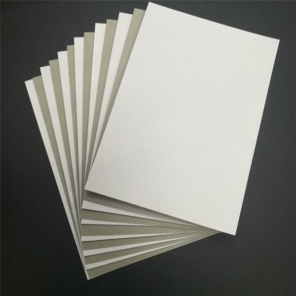 Coated White Board Paper Market