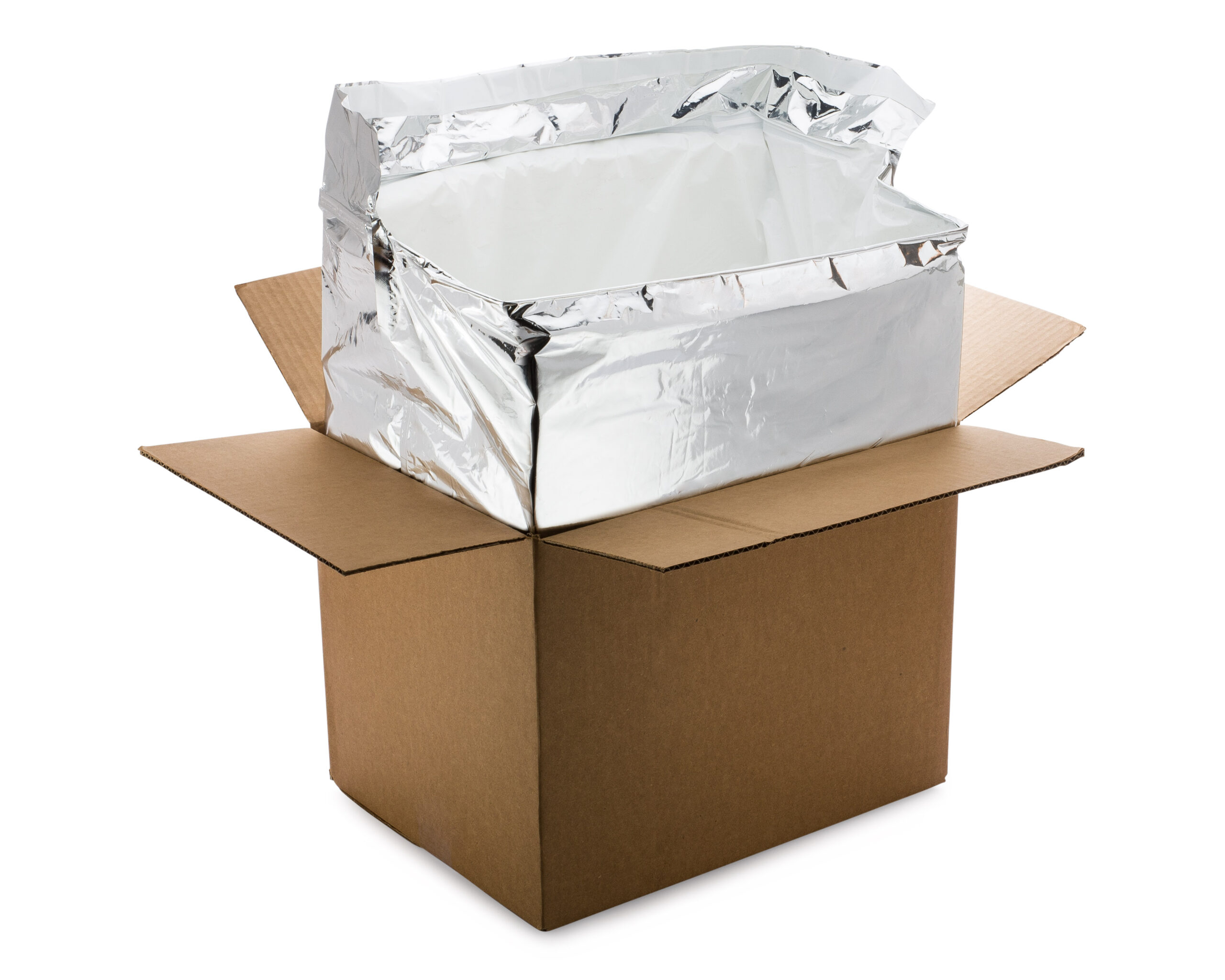 Insulated Styrofoam Shipping Boxes Market