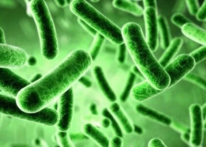 Antimicrobial Nanocoatings Market