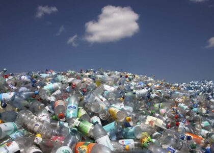 Recycled PET Packaging Market